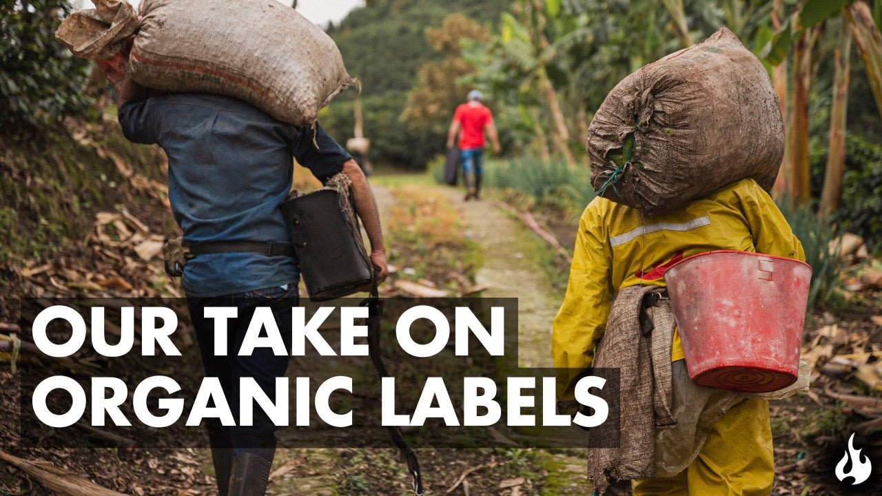 Organic Coffee: Quality & Ethics Uncovered - Ember Coffee Co.