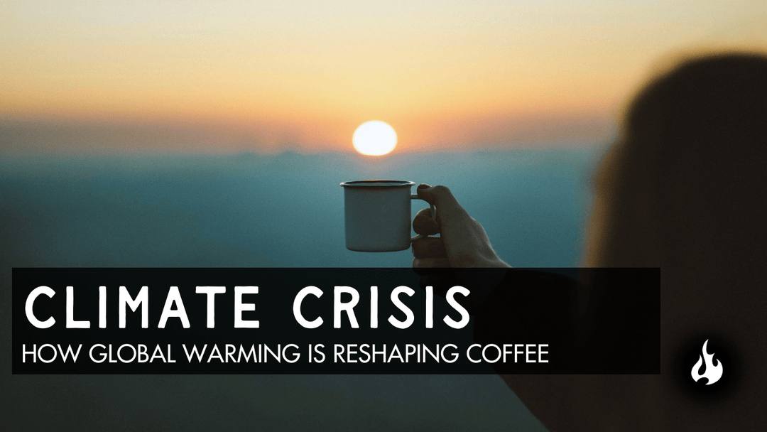 A woman holding a cup aligned to the morning sun