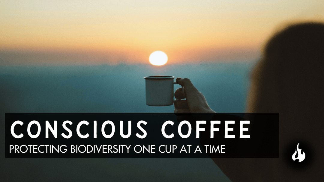 Is Your Morning Coffee Hurting the Earth?