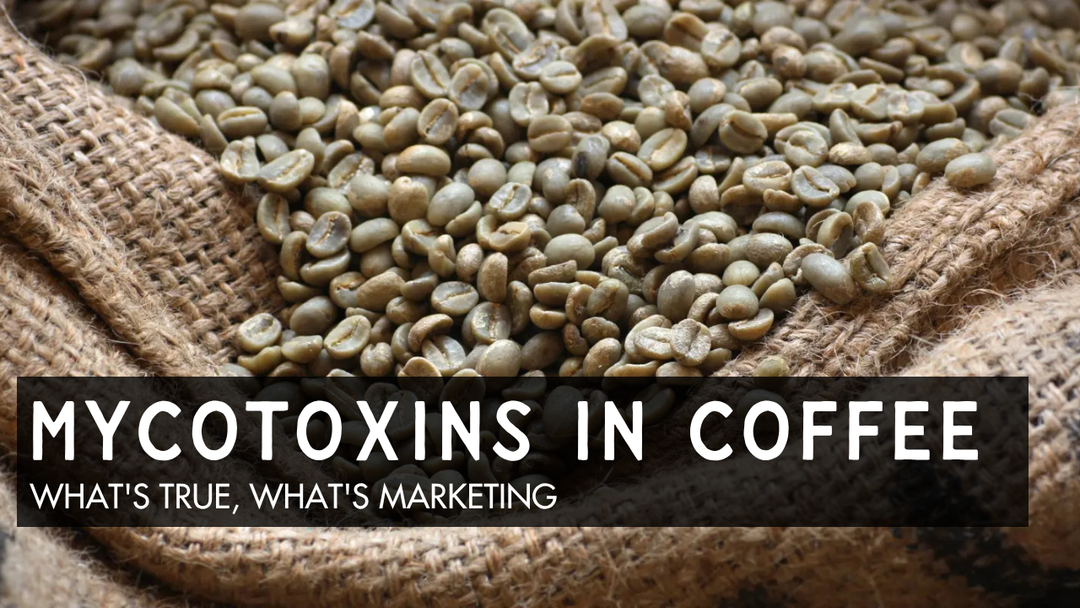 Mold and Mycotoxins in Coffee, and Why We Send Ours to a Lab