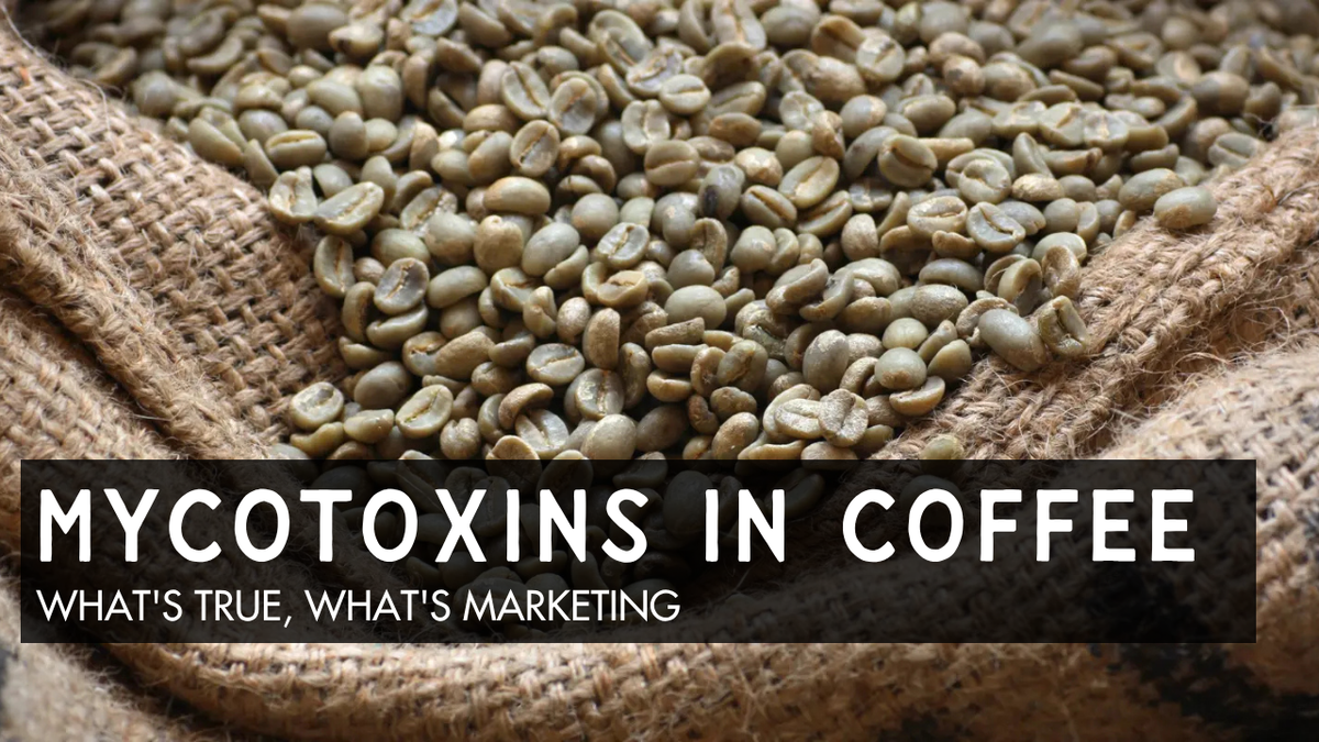 Mold and Mycotoxins in Coffee, and Why We Send Ours to a Lab