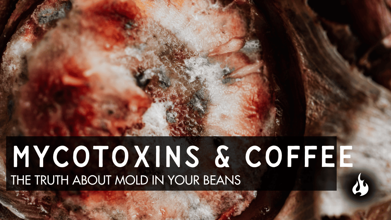 Close-up of mold growth on organic matter with text about mycotoxins in coffee