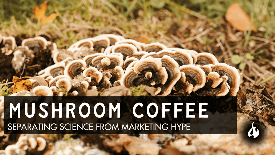 A photo of Turkey Tail mushroom