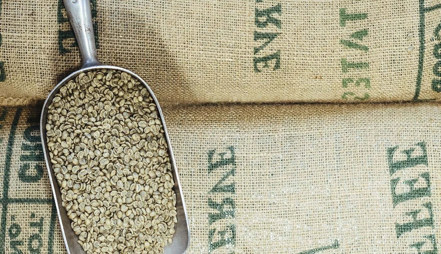 Mold-Free Coffee: A Specialty Approach - Ember Coffee Co.