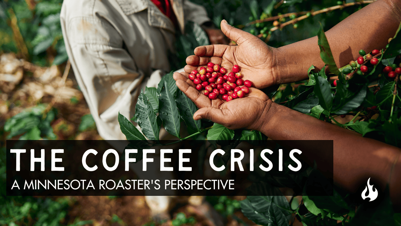 Navigating the Coffee Crisis: A Minnesota Roaster's Perspective - Ember Coffee Co.