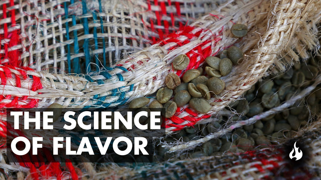 Arabica: Altitude & Soil - Ember Coffee Co.