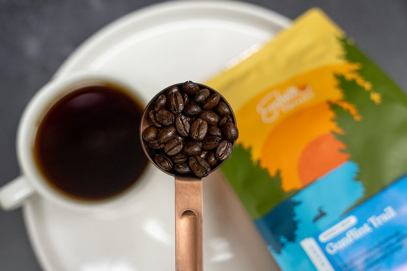 <p>Taste Dark Roast the Way It <em>Should</em> Be</p>